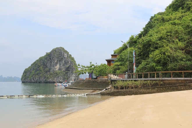Ha Long